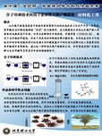 分子印迹技术应用于亲水性天然产物提取